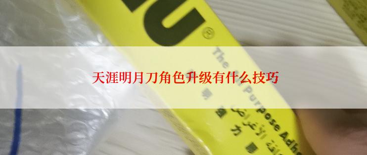  天涯明月刀角色升级有什么技巧