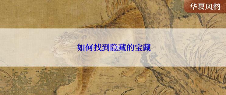  如何找到隐藏的宝藏