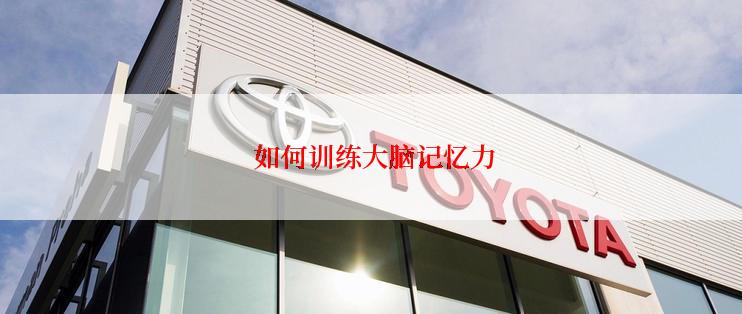  如何训练大脑记忆力