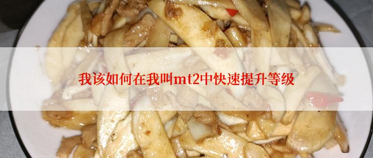 我该如何在我叫mt2中快速提升等级