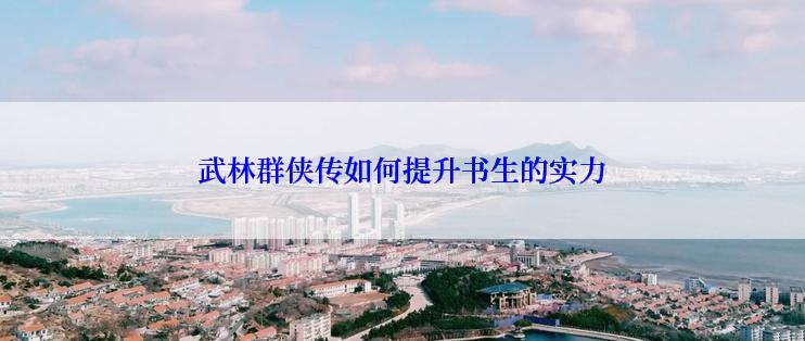 武林群侠传如何提升书生的实力