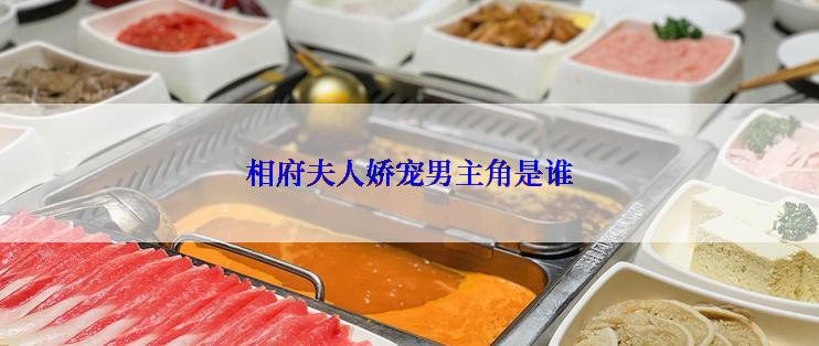 相府夫人娇宠男主角是谁