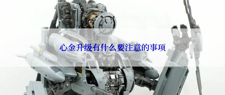 心金升级有什么要注意的事项