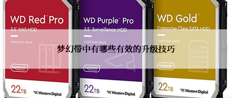 梦幻带中有哪些有效的升级技巧