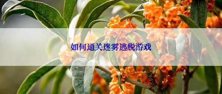 如何通关迷雾逃脱游戏