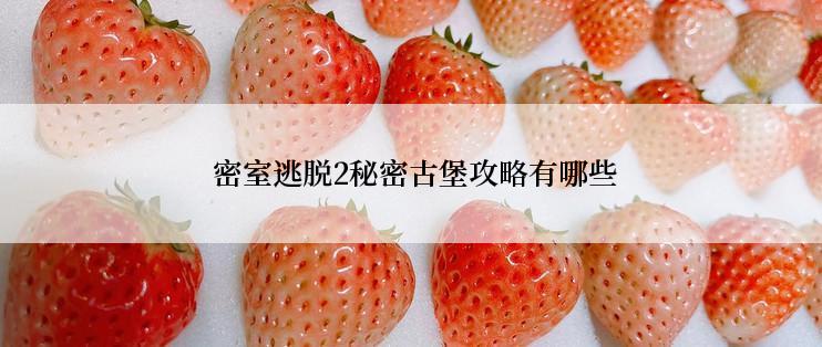  密室逃脱2秘密古堡攻略有哪些