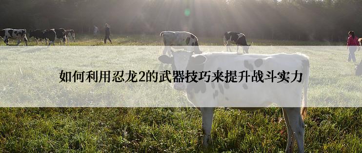 如何利用忍龙2的武器技巧来提升战斗实力