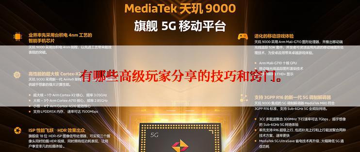 有哪些高级玩家分享的技巧和窍门。