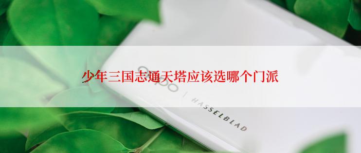 少年三国志通天塔应该选哪个门派