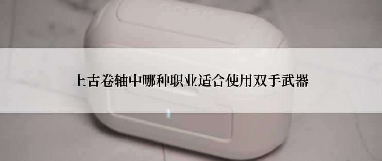 上古卷轴中哪种职业适合使用双手武器