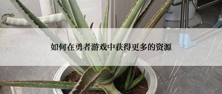 如何在勇者游戏中获得更多的资源
