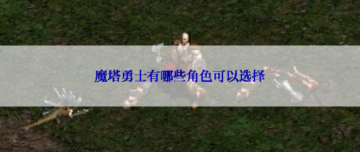 魔塔勇士有哪些角色可以选择