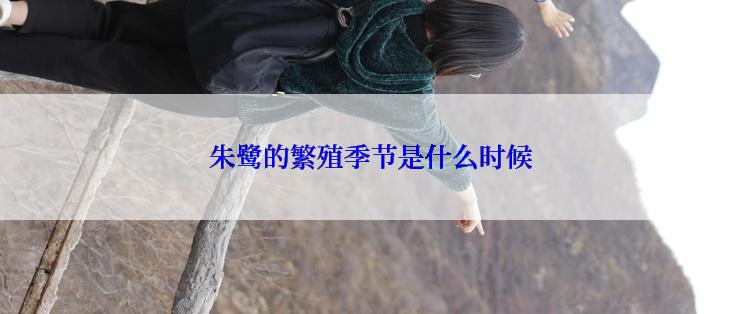 朱鹭的繁殖季节是什么时候