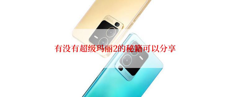 有没有超级玛丽2的秘籍可以分享