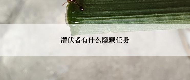 潜伏者有什么隐藏任务