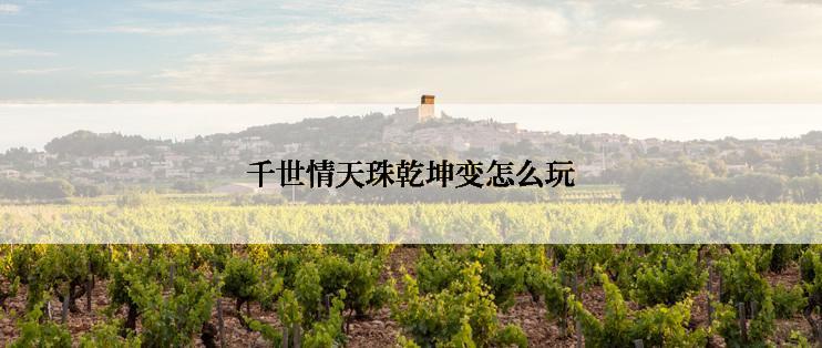 千世情天珠乾坤变怎么玩