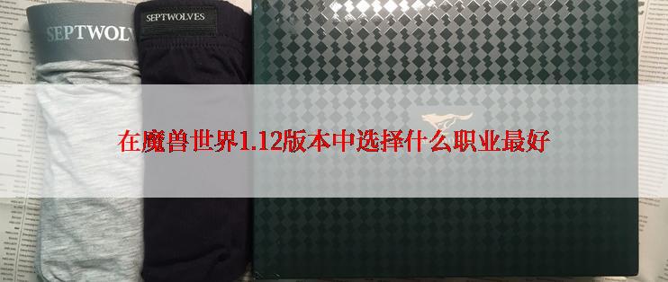 在魔兽世界1.12版本中选择什么职业最好