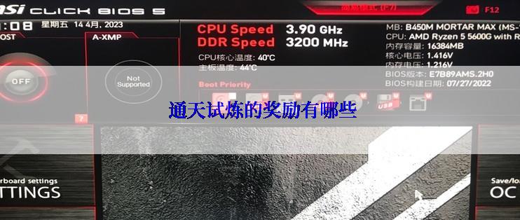  通天试炼的奖励有哪些