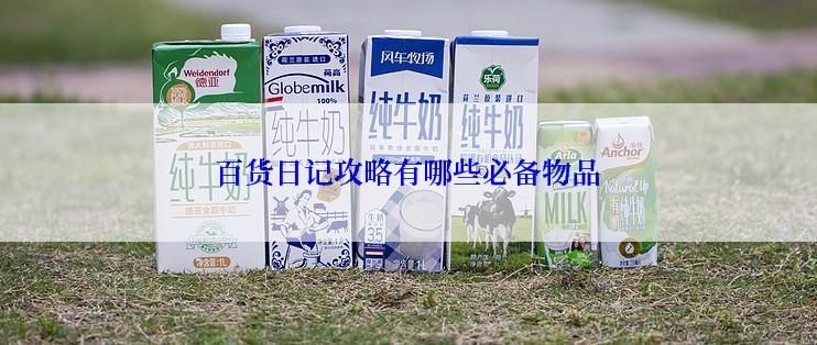 百货日记攻略有哪些必备物品