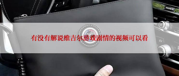 有没有解说维吉尔游戏剧情的视频可以看