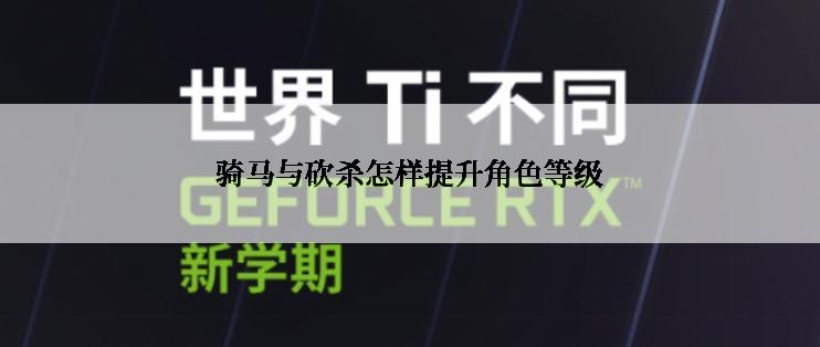 骑马与砍杀怎样提升角色等级