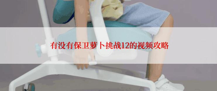  有没有保卫萝卜挑战12的视频攻略