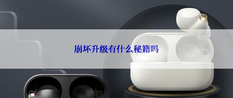 崩坏升级有什么秘籍吗