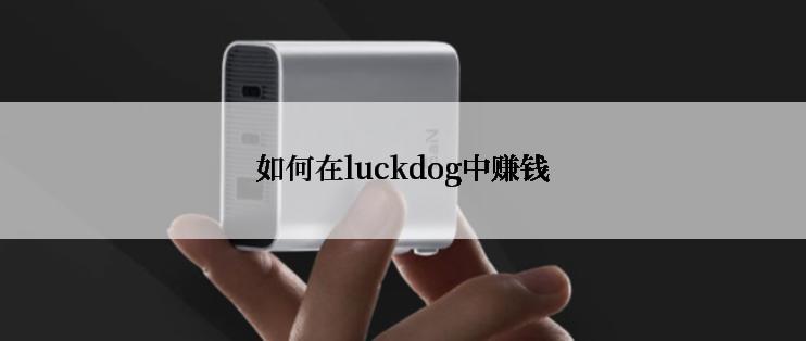 如何在luckdog中赚钱