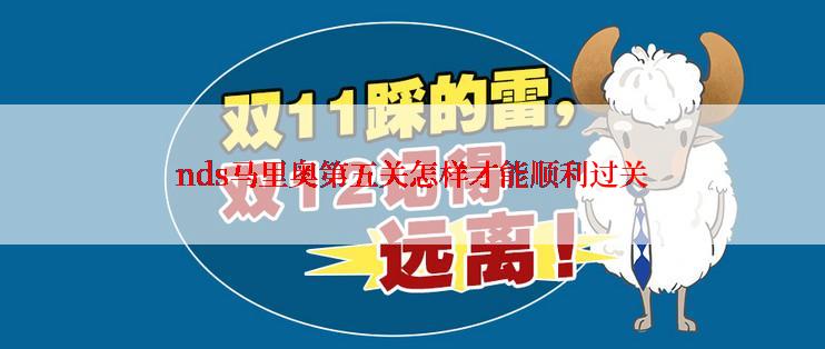 nds马里奥第五关怎样才能顺利过关