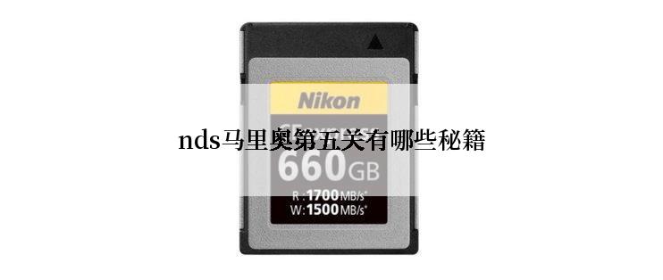 nds马里奥第五关有哪些秘籍
