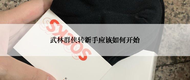 武林群侠转新手应该如何开始