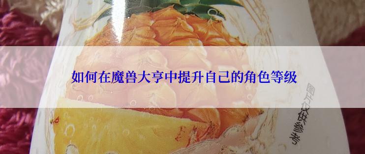  如何在魔兽大亨中提升自己的角色等级