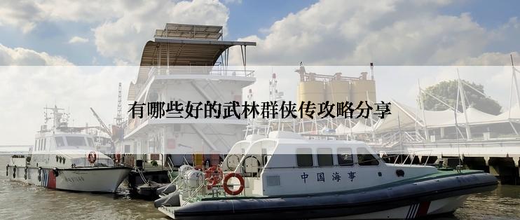 有哪些好的武林群侠传攻略分享