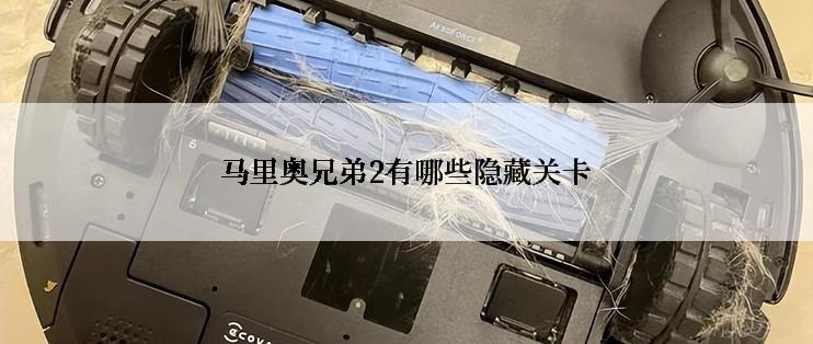 马里奥兄弟2有哪些隐藏关卡