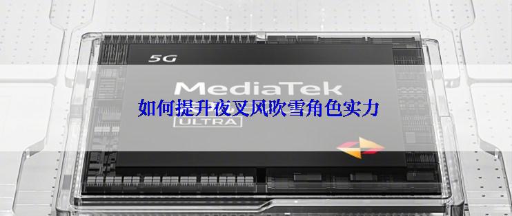  如何提升夜叉风吹雪角色实力