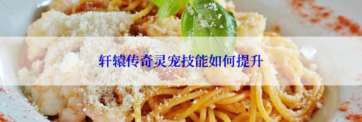 轩辕传奇灵宠技能如何提升