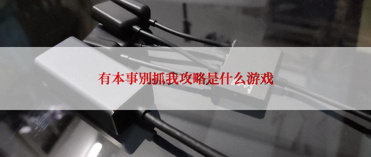 有本事别抓我攻略是什么游戏