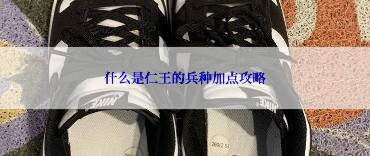 什么是仁王的兵种加点攻略