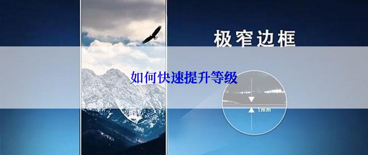如何快速提升等级