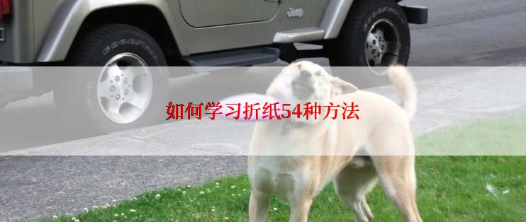 如何学习折纸54种方法