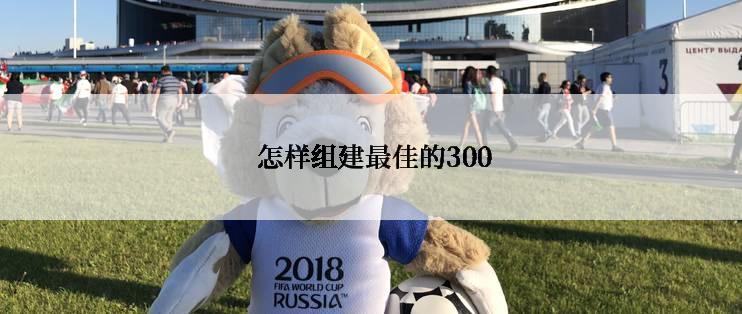  怎样组建最佳的300