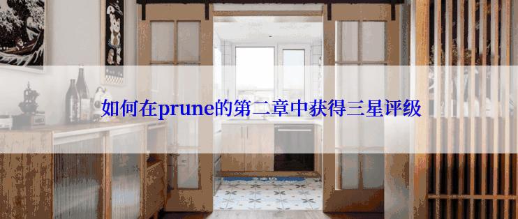  如何在prune的第二章中获得三星评级