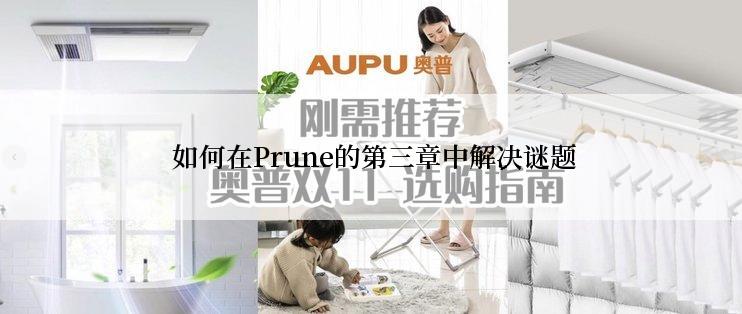  如何在Prune的第三章中解决谜题