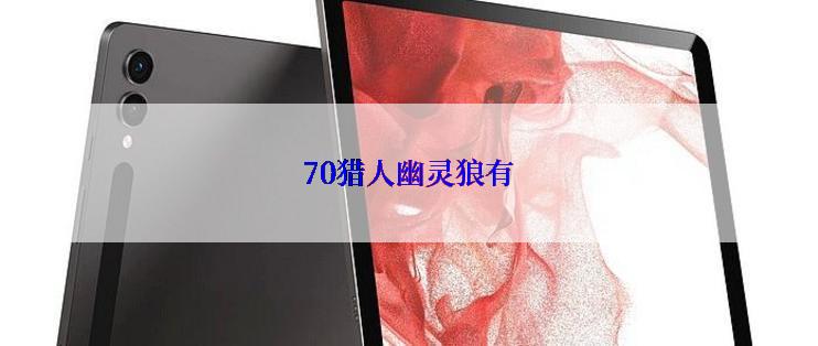 70猎人幽灵狼有