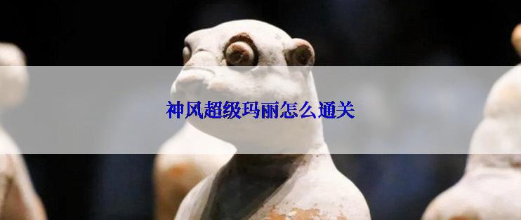 神风超级玛丽怎么通关