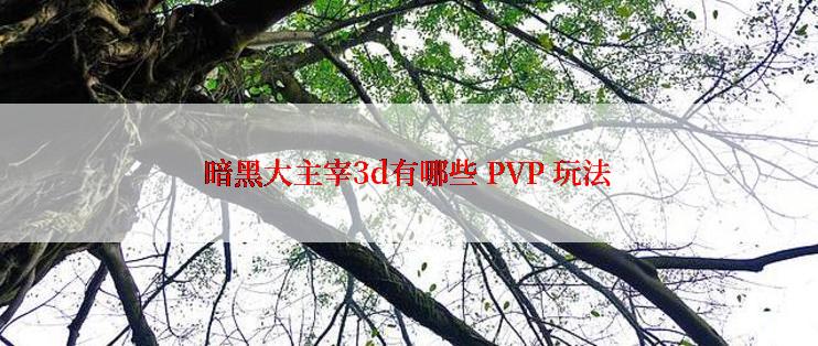 暗黑大主宰3d有哪些 PVP 玩法