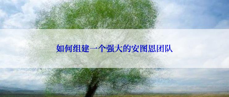 如何组建一个强大的安图恩团队