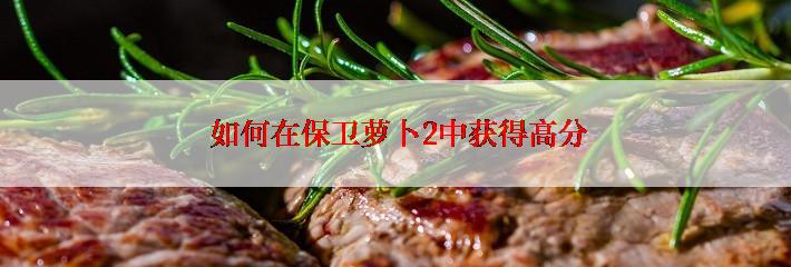  如何在保卫萝卜2中获得高分