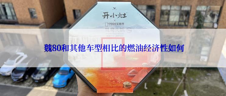  魏80和其他车型相比的燃油经济性如何