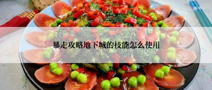 暴走攻略地下城的技能怎么使用